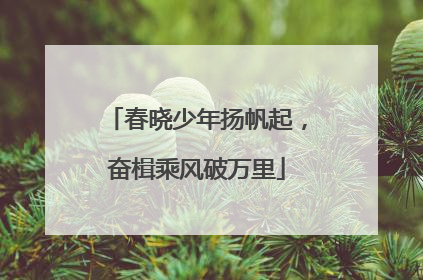 春晓少年扬帆起，奋楫乘风破万里