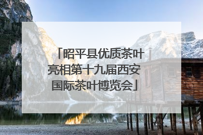 昭平县优质茶叶亮相第十九届西安国际茶叶博览会