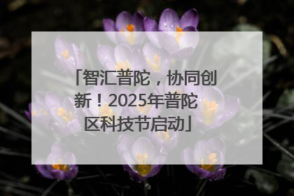 智汇普陀，协同创新！2025年普陀区科技节启动