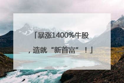 暴涨1400%牛股，造就“新首富”！