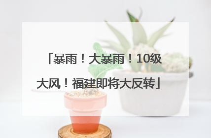 暴雨！大暴雨！10级大风！福建即将大反转