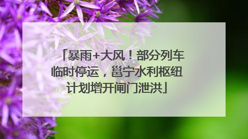 暴雨+大风！部分列车临时停运，邕宁水利枢纽计划增开闸门泄洪