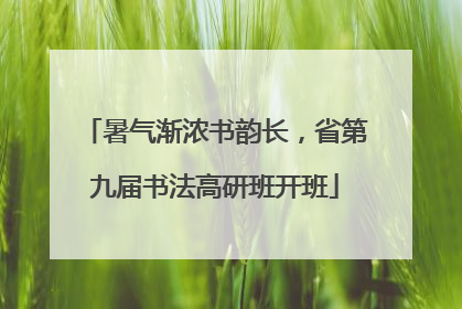 暑气渐浓书韵长，省第九届书法高研班开班