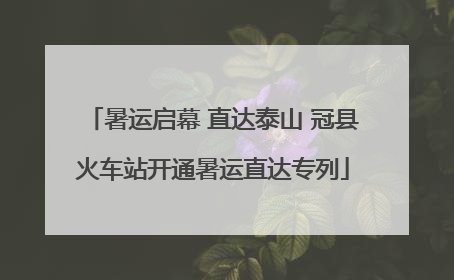 暑运启幕 直达泰山 冠县火车站开通暑运直达专列