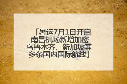 暑运7月1日开启 南昌机场新增加密乌鲁木齐、新加坡等多条国内国际航线