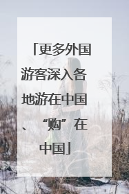 更多外国游客深入各地游在中国、“购”在中国