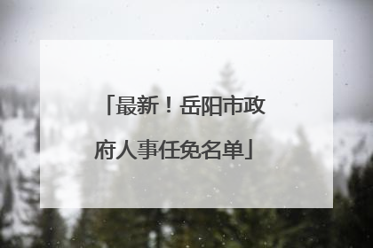 最新！岳阳市政府人事任免名单