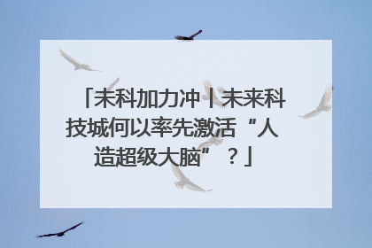 未科加力冲丨未来科技城何以率先激活“人造超级大脑”？