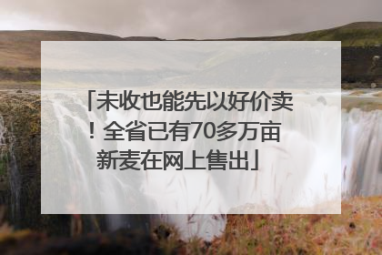 未收也能先以好价卖！全省已有70多万亩新麦在网上售出