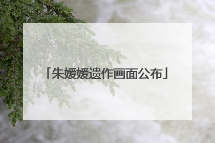 朱媛媛遗作画面公布