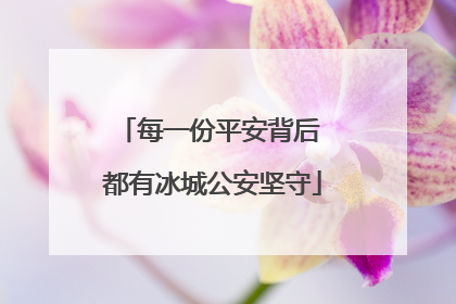 每一份平安背后 都有冰城公安坚守