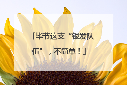 毕节这支“银发队伍”，不简单！