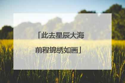 此去星辰大海 前程锦绣如画