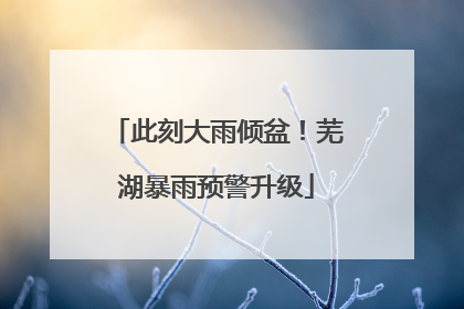 此刻大雨倾盆！芜湖暴雨预警升级