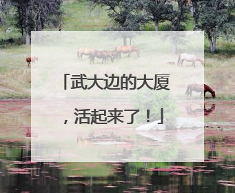 武大边的大厦，活起来了！