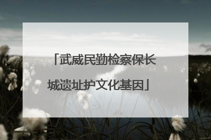 武威民勤检察保长城遗址护文化基因