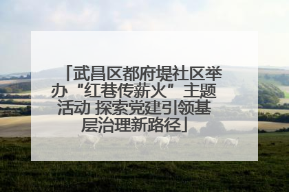 武昌区都府堤社区举办“红巷传薪火”主题活动 探索党建引领基层治理新路径