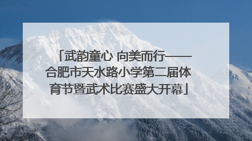 武韵童心 向美而行——合肥市天水路小学第二届体育节暨武术比赛盛大开幕
