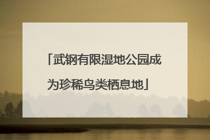 武钢有限湿地公园成为珍稀鸟类栖息地