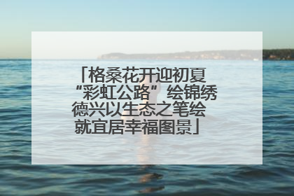 格桑花开迎初夏 “彩虹公路”绘锦绣 德兴以生态之笔绘就宜居幸福图景