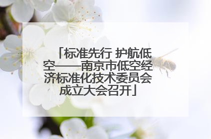 标准先行 护航低空——南京市低空经济标准化技术委员会成立大会召开