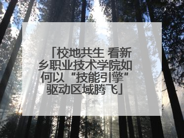 校地共生 看新乡职业技术学院如何以“技能引擎”驱动区域腾飞