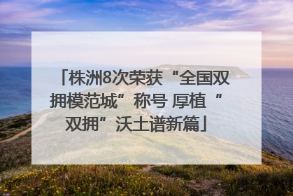 株洲8次荣获“全国双拥模范城”称号 厚植“双拥”沃土谱新篇