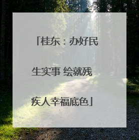 桂东：办好民生实事 绘就残疾人幸福底色
