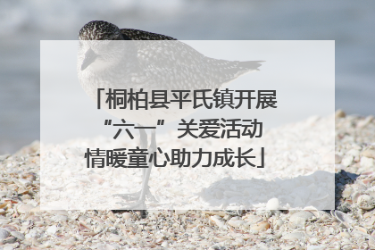 桐柏县平氏镇开展“六一”关爱活动 情暖童心助力成长