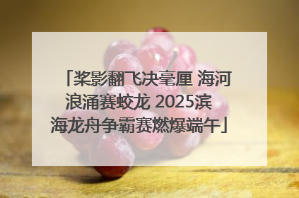 桨影翻飞决毫厘 海河浪涌赛蛟龙 2025滨海龙舟争霸赛燃爆端午