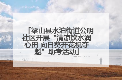 梁山县水泊街道公明社区开展“清凉饮水润心田 向日葵开花祝夺魁”助考活动
