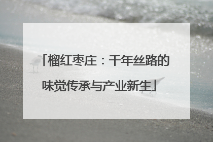 榴红枣庄：千年丝路的味觉传承与产业新生
