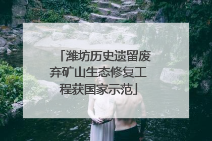 潍坊历史遗留废弃矿山生态修复工程获国家示范