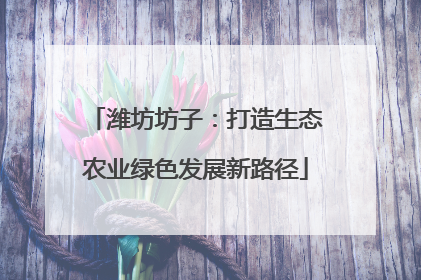 潍坊坊子：打造生态农业绿色发展新路径