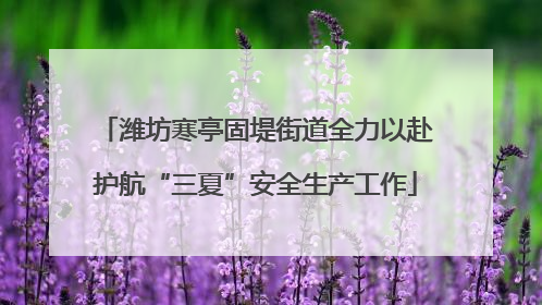 潍坊寒亭固堤街道全力以赴护航“三夏”安全生产工作