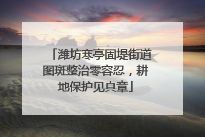 潍坊寒亭固堤街道图斑整治零容忍，耕地保护见真章