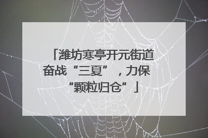 潍坊寒亭开元街道奋战“三夏”，力保“颗粒归仓”