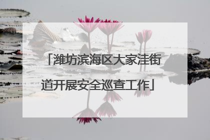 潍坊滨海区大家洼街道开展安全巡查工作