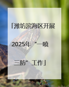 潍坊滨海区开展2025年“一喷三防”工作