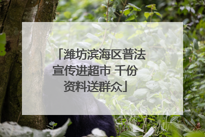 潍坊滨海区普法宣传进超市 千份资料送群众