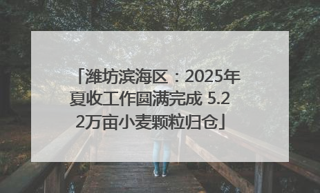 潍坊滨海区：2025年夏收工作圆满完成 5.22万亩小麦颗粒归仓