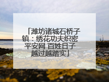 潍坊诸城石桥子镇：绣花功夫织密平安网 百姓日子越过越踏实