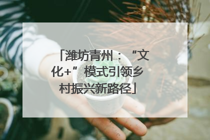 潍坊青州：“文化+”模式引领乡村振兴新路径