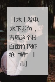 水上发电水下养鱼，青岛这个村百亩竹节虾抢“鲜”上市