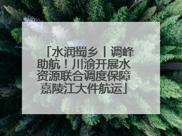 水润蜀乡丨调峰助航！川渝开展水资源联合调度保障嘉陵江大件航运