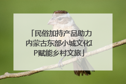 民俗加持产品助力 内蒙古东部小城文化IP赋能乡村文旅