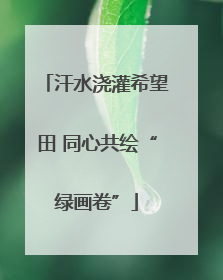 汗水浇灌希望田 同心共绘“绿画卷”