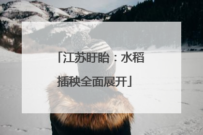 江苏盱眙：水稻插秧全面展开