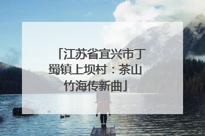 江苏省宜兴市丁蜀镇上坝村：茶山竹海传新曲