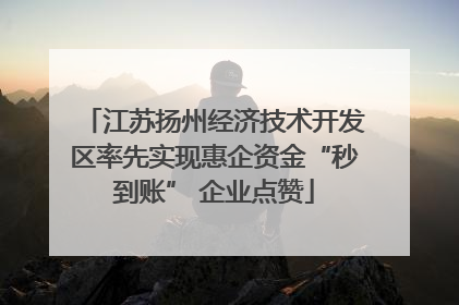 江苏扬州经济技术开发区率先实现惠企资金“秒到账” 企业点赞